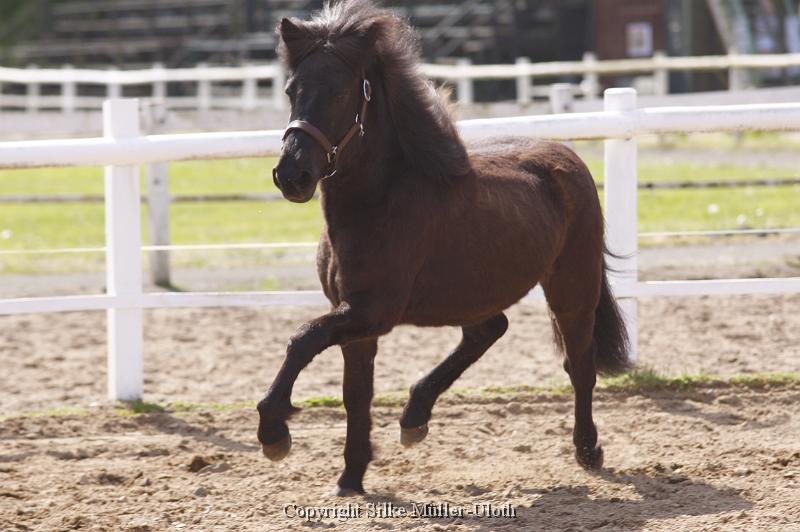 Alvar fra Stora Hofi (8).JPG